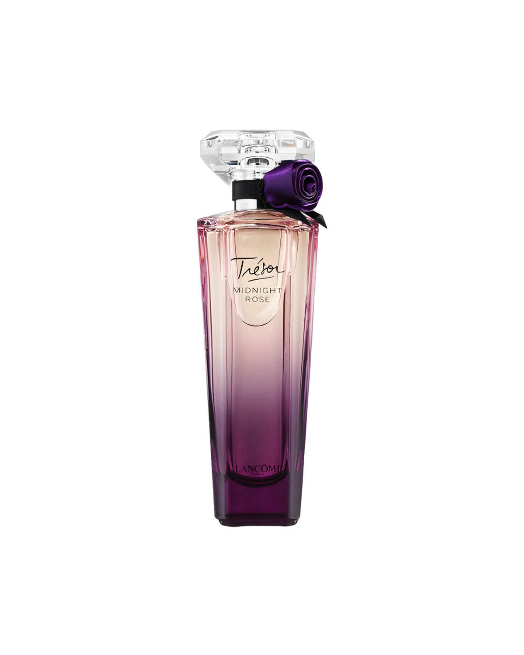 Trésor Midnight Rose